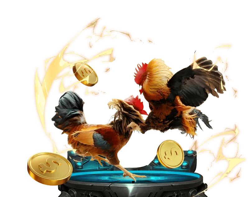 Tính hợp pháp, công bằng và minh bạch